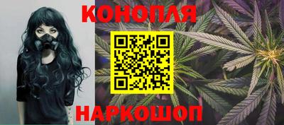 спайс Кингисепп