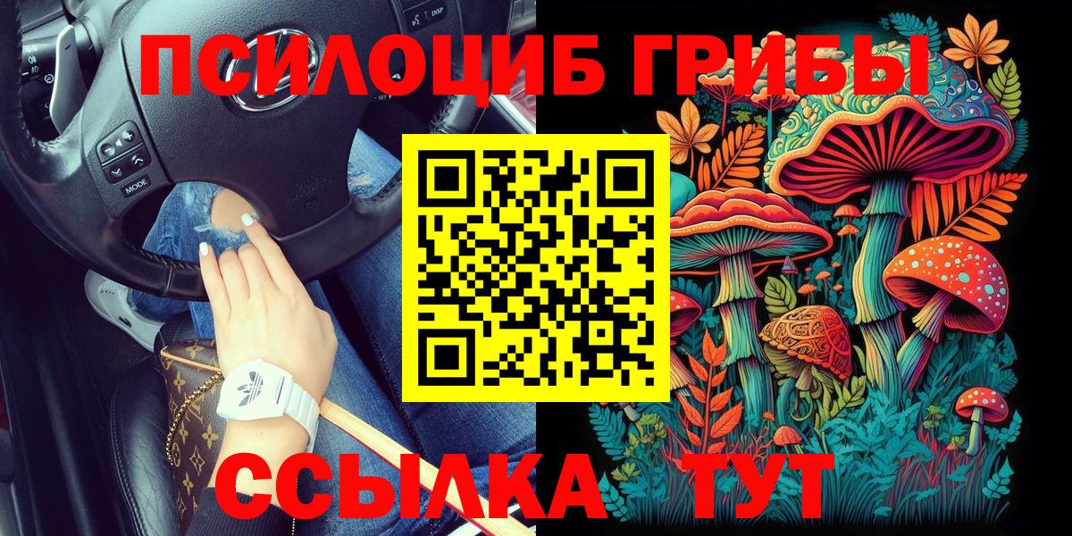 Псилоцибиновые грибы мухоморы Азов